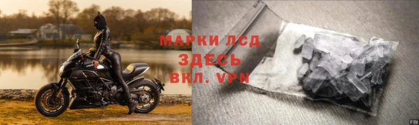 ПСИЛОЦИБИНОВЫЕ ГРИБЫ Новодвинск