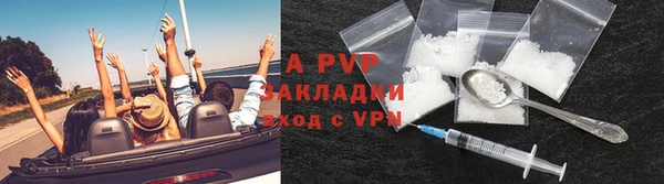 ПСИЛОЦИБИНОВЫЕ ГРИБЫ Новодвинск