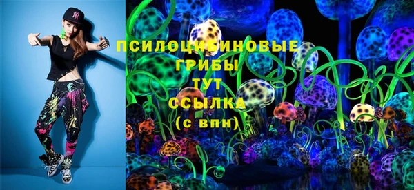 ПСИЛОЦИБИНОВЫЕ ГРИБЫ Новодвинск