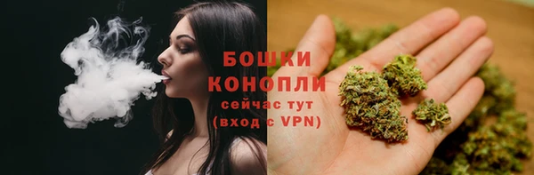 ПСИЛОЦИБИНОВЫЕ ГРИБЫ Новодвинск