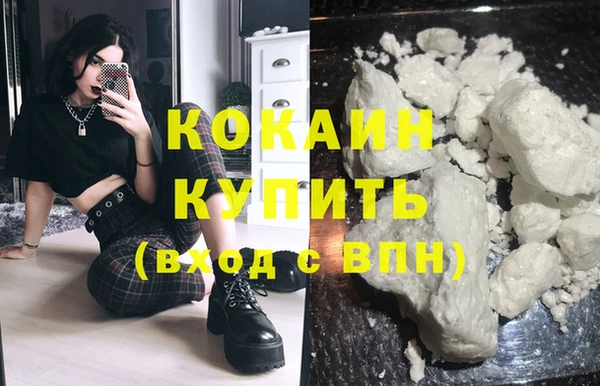 гидропоника Новозыбков