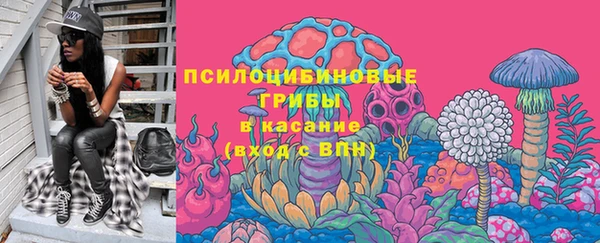 гидропоника Новозыбков