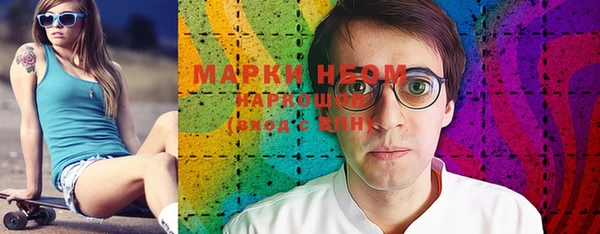 гидропоника Новозыбков