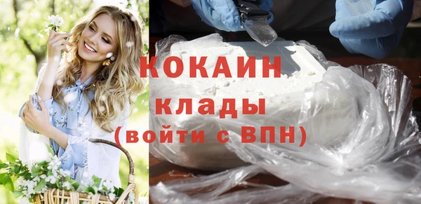 ПСИЛОЦИБИНОВЫЕ ГРИБЫ Новодвинск