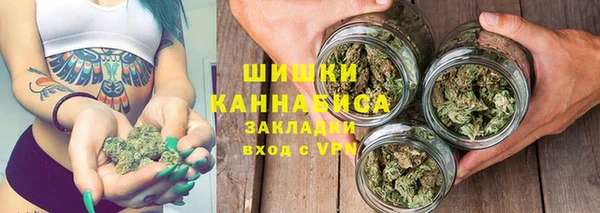 ПСИЛОЦИБИНОВЫЕ ГРИБЫ Новодвинск