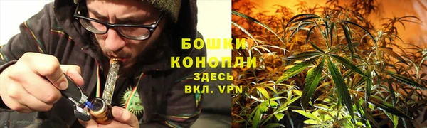 ПСИЛОЦИБИНОВЫЕ ГРИБЫ Новодвинск
