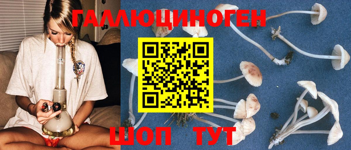 Галлюциногенные грибы Cubensis Улан-Удэ