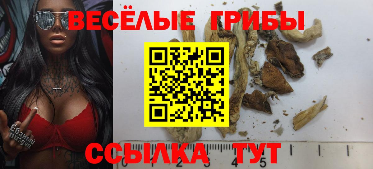Псилоцибиновые грибы мицелий  Вход с VPN  Улан-Удэ 